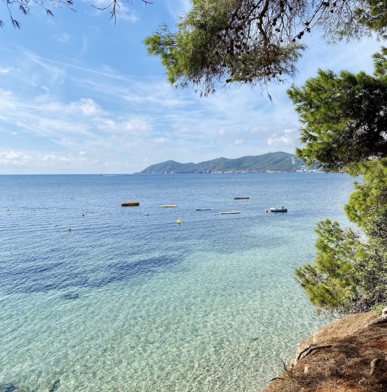 Ibiza